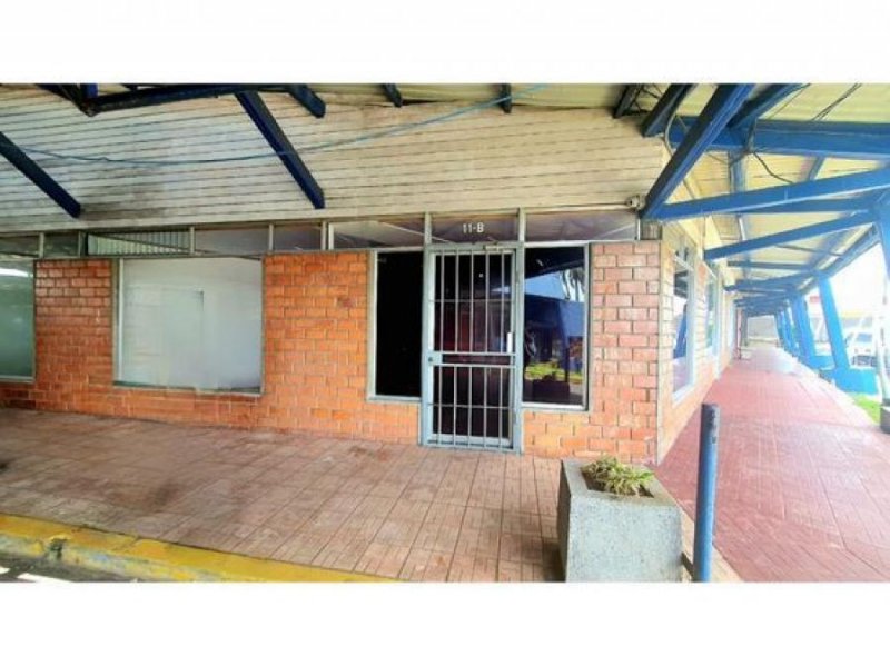 Foto Local en Alquiler en San José, San José - U$D 849 - LOA85799 - BienesOnLine