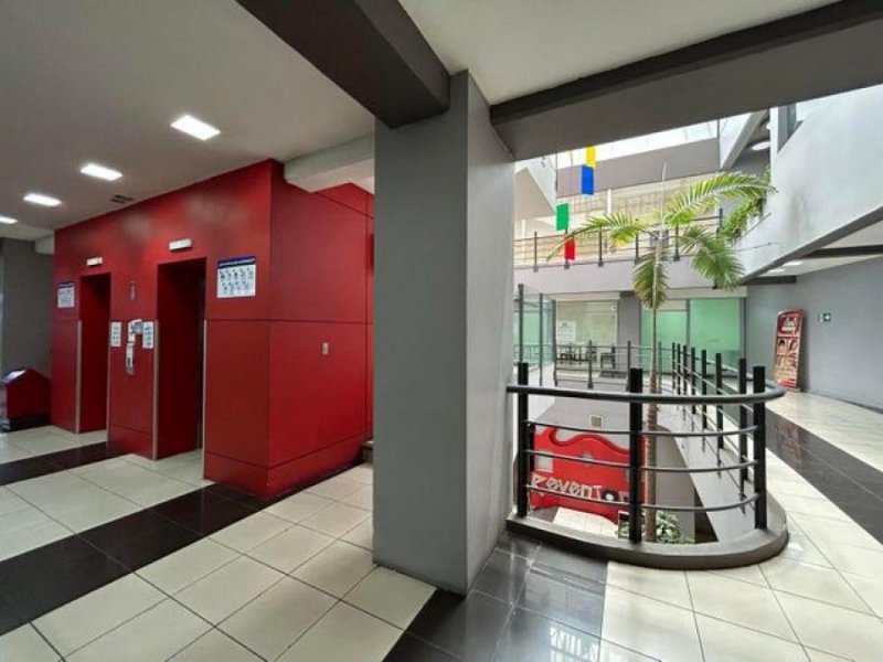 Foto Local en Alquiler en Centro, San José, San José - U$D 2.280 - LOA75757 - BienesOnLine