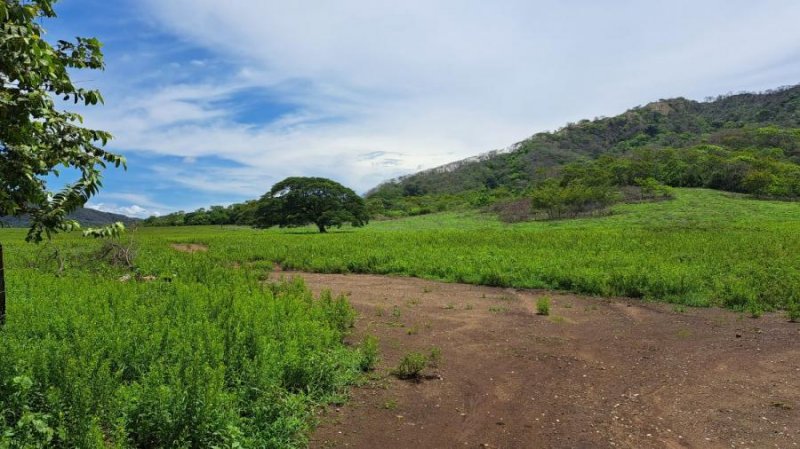 Finca en Alquiler en Santa Cruz Santa Cruz, Guanacaste