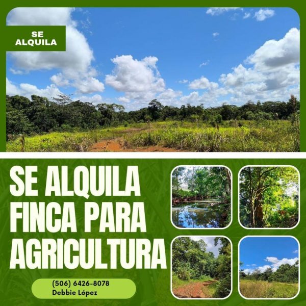 Finca en Alquiler en  Upala, Alajuela