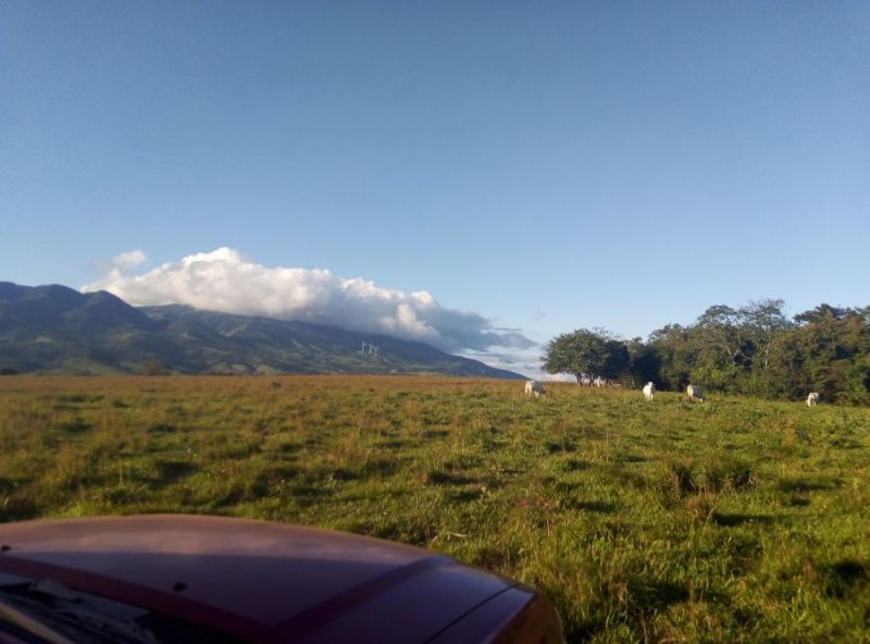 AMPLIA HACIENDA EN CAÑAS GUANACASTE