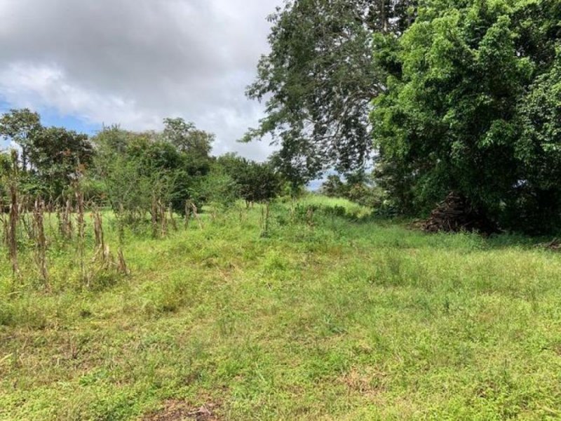 Foto Terreno en Venta en San Mateo, Alajuela - ¢ 36.000.000 - TEV69312 - BienesOnLine