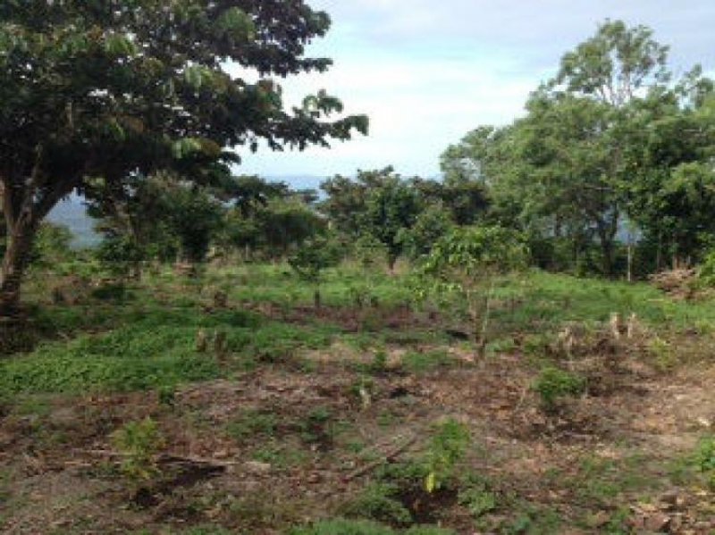 Foto Terreno en Venta en San Luis de Grecia, Grecia, Alajuela - ¢ 65.000.000 - TEV11824 - BienesOnLine