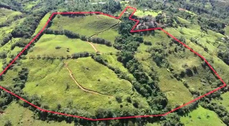 AWESOME LAND FOR SALE IN THE HEART OF SAN IGNACIO, WITH VIEWS AND CREEK (12,5 HECTARES)