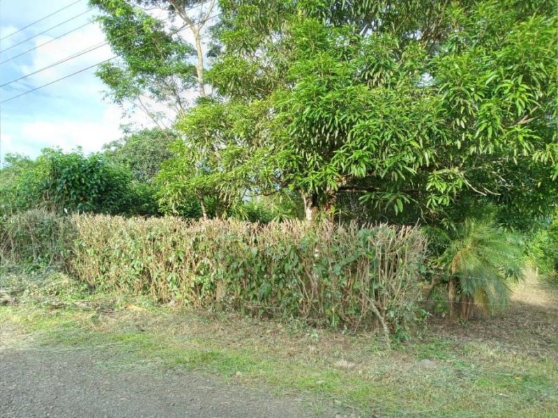 Foto Terreno en Venta en Alajuela, San Ramón., San Ramón, Alajuela - ¢ 8.500.000 - TEV39903 - BienesOnLine