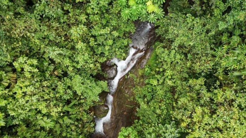 Finca en Venta en Baru Baru, San José