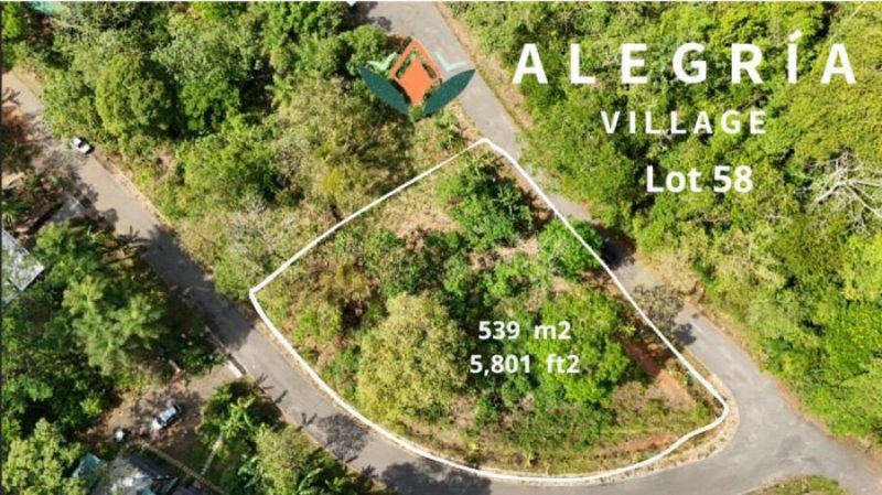 Foto Terreno en Venta en Alegria Village, Alegria Village, San Mateo, Alajuela - U$D 77.777 - TEV100607 - BienesOnLine