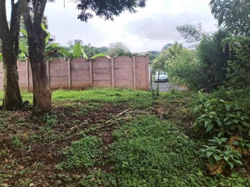 Terreno en Venta en San Jerónimo Naranjo, Alajuela