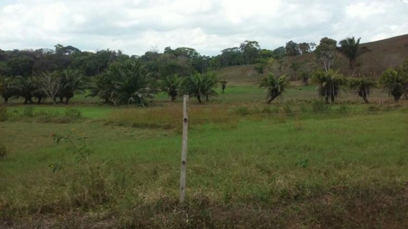 BELLA FINCA DE 480 HECTAREAS EN QUEPOS