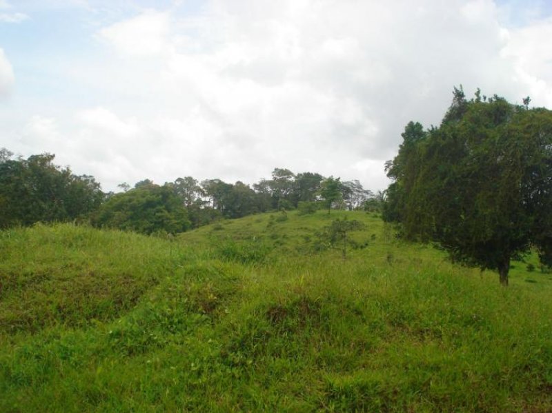 Foto Finca en Venta en San Carlos, Alajuela - U$D 10.000 - FIV5342 - BienesOnLine