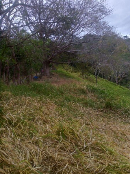 BELLA FINCA EN DESMONTE, SAN MATEO. 