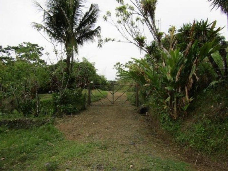 Finca en Venta en  Siquirres, Limón