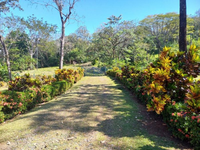 Bella finca en Venta en Turrubares de San Pedro Precio de oportunidad $7,5 mts2 .24-1148