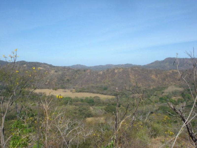 Foto Finca en Venta en Quepos, Puntarenas - U$D 4.000.000 - FIV6051 - BienesOnLine