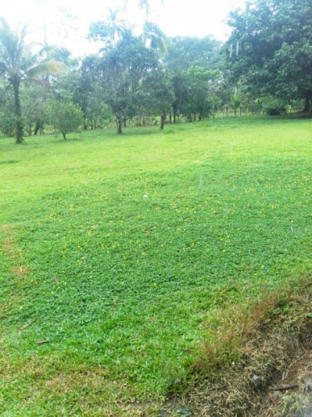 Foto Terreno en Venta en Naranjo, Alajuela - U$D 510.000 - TEV7565 - BienesOnLine