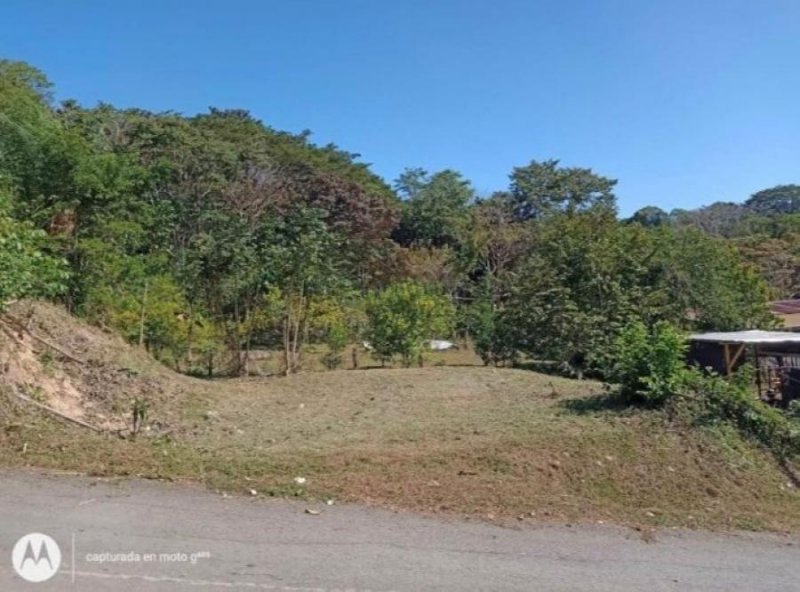 Terreno en Venta en Coyolar Orotina, Alajuela