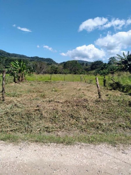 Terreno en Venta en Las Juntas Abanganres, Guanacaste