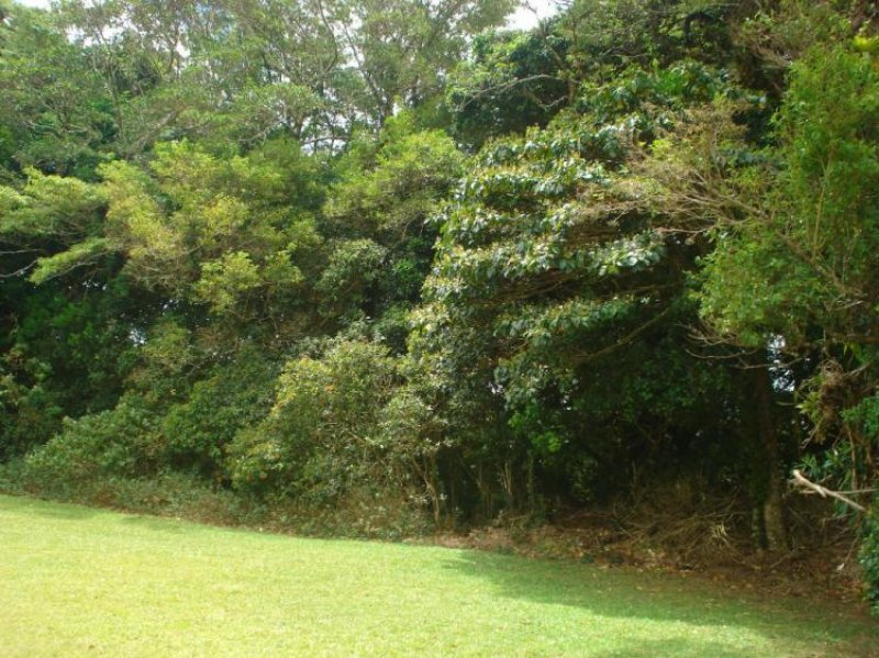 Finca en Venta en  San Rafael, Heredia