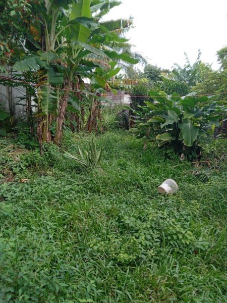 Terreno en Venta en Grecia centro. Grecia, Alajuela