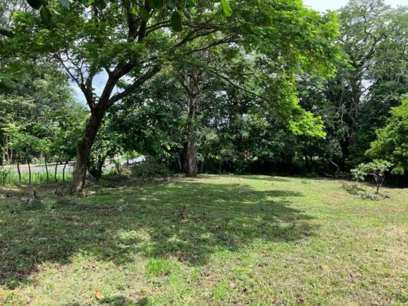 Terreno en Venta en Río Grande Atenas, Alajuela