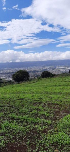 Terreno en Venta en Taras Cartago, Cartago