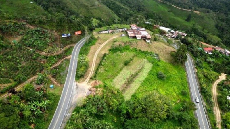 Foto Terreno en Venta en Paramo, Perez Zeledón, San José - ¢ 30.000 - TEV89266 - BienesOnLine