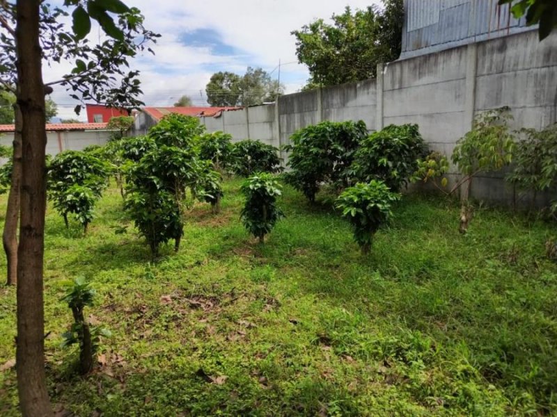 Foto Terreno en Venta en Santo Domingo, Heredia - ¢ 92.000.000 - TEV11332 - BienesOnLine