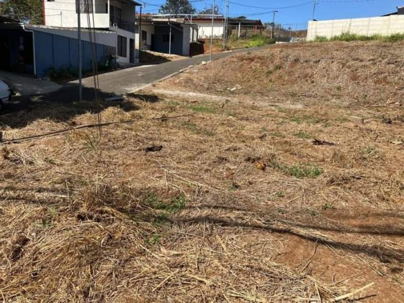 Foto Terreno en Venta en Atenas, Atenas, Alajuela - ¢ 33.000.000 - TEV92604 - BienesOnLine