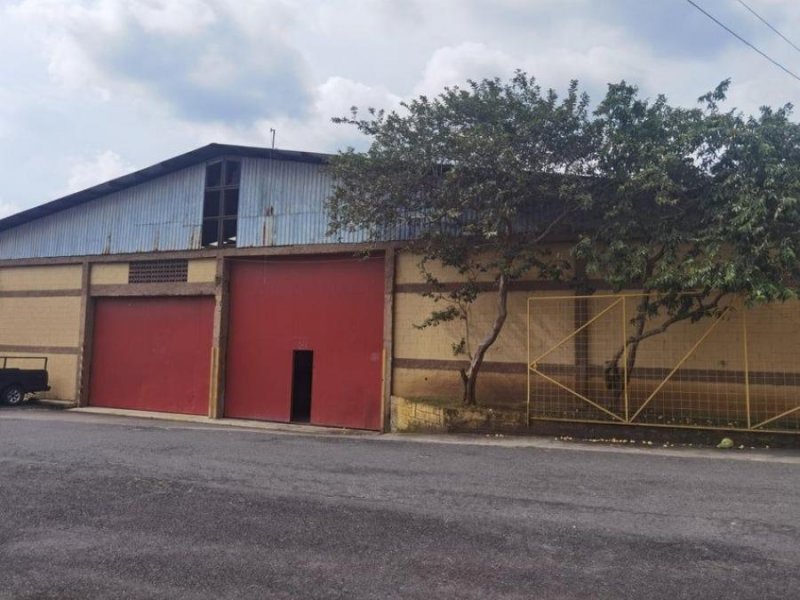 Bodega en Alquiler en  Tibás, San José