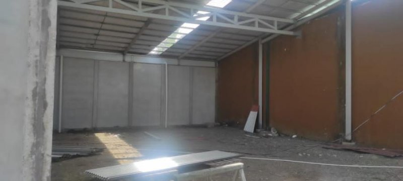 Foto Bodega en Alquiler en Guapiles, Pococí, Limón - U$D 2.650 - BOA58605 - BienesOnLine