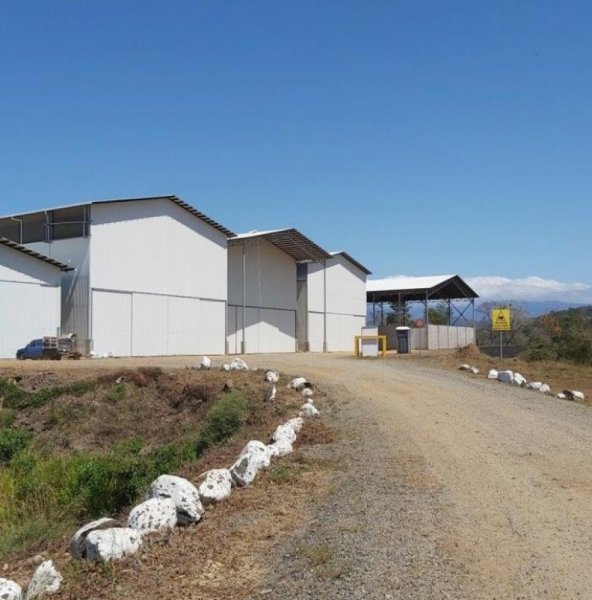 Bodega en Alquiler en  Espiritu Santo, Puntarenas