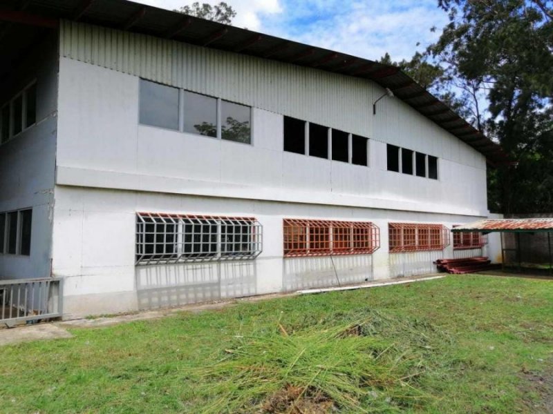 Foto Bodega en Venta en Uruca, San José, San José - U$D 2.400.000 - BOV96626 - BienesOnLine