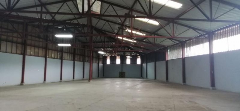 Foto Bodega en Alquiler en San José, San José - U$D 3.000 - BOA66888 - BienesOnLine