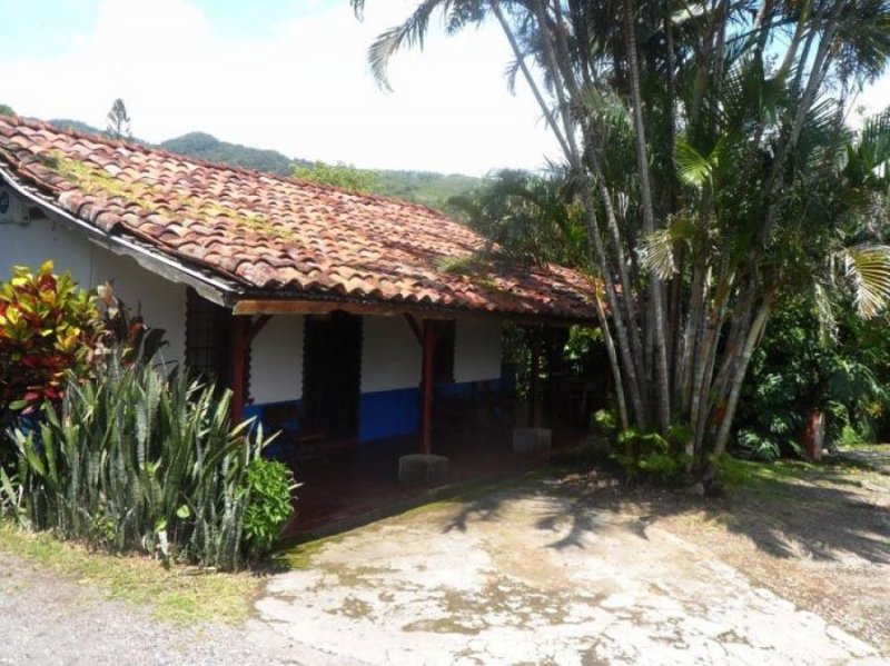 Foto Casa en Alquiler en Santa Ana, San José - ¢ 300.000 - CAA76992 - BienesOnLine