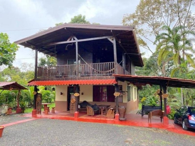 Foto Finca en Venta en San Ramón, Alajuela - ¢ 245.000.000 - FIV86705 - BienesOnLine