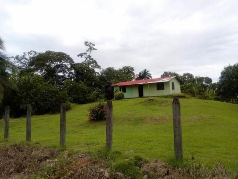 Foto Casa en Venta en Guapiles, Pococí, Limón - ¢ 78.000.000 - CAV30667 - BienesOnLine