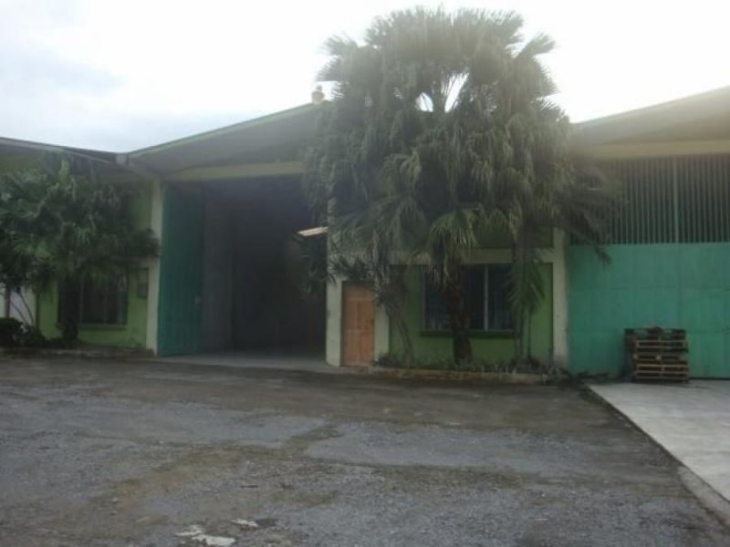 Foto Local en Alquiler en Guapiles, Pococí, Limón - U$D 2.100 - LOA29832 - BienesOnLine