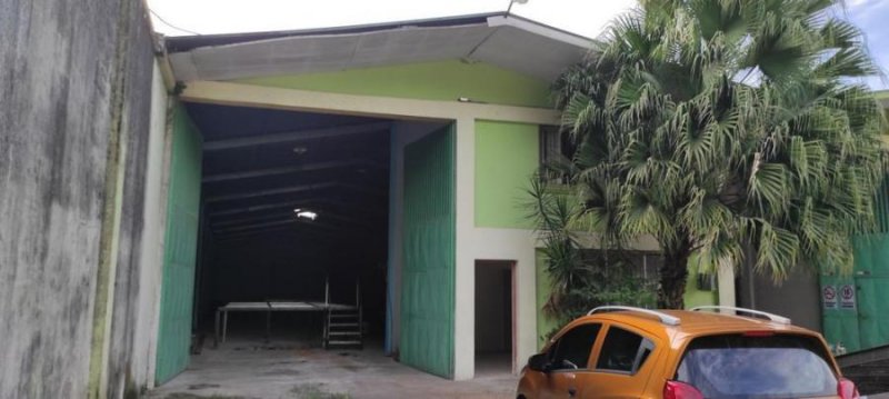 Foto Local en Alquiler en Guapiles, Pococí, Limón - U$D 2.100 - LOA37914 - BienesOnLine