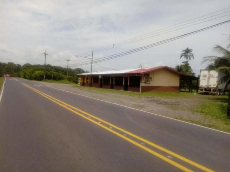 Foto Local en Venta en Guapiles, Pococí, Limón - U$D 158.000 - LOV29583 - BienesOnLine