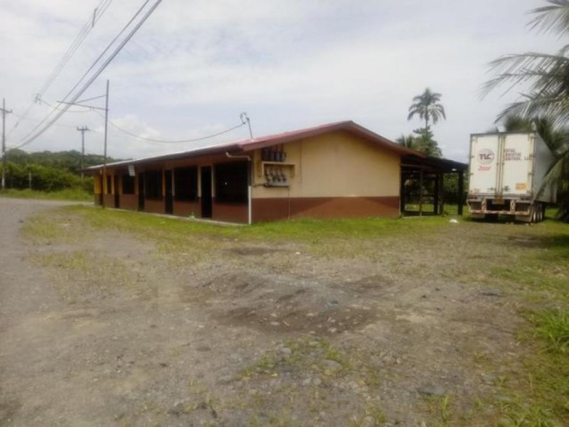 Foto Local en Venta en Guapiles, Pococí, Limón - ¢ 95.000.000 - LOV37231 - BienesOnLine