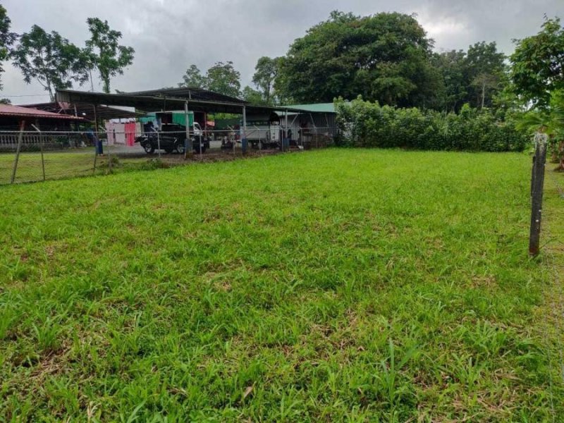 Foto Terreno en Venta en Guapiles, Pococí, Limón - ¢ 15.000.000 - TEV38006 - BienesOnLine