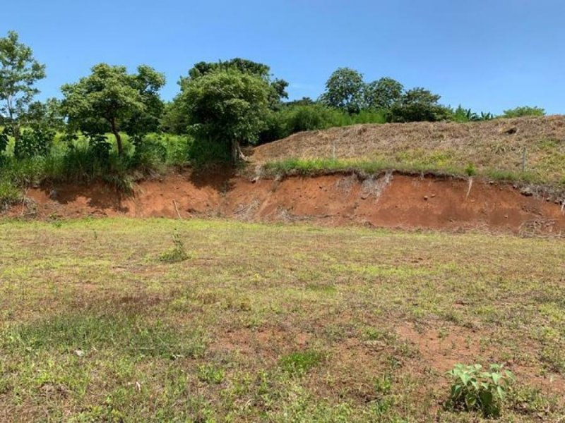 Foto Terreno en Venta en Atenas, Atenas, Alajuela - ¢ 17.850.000 - TEV36492 - BienesOnLine