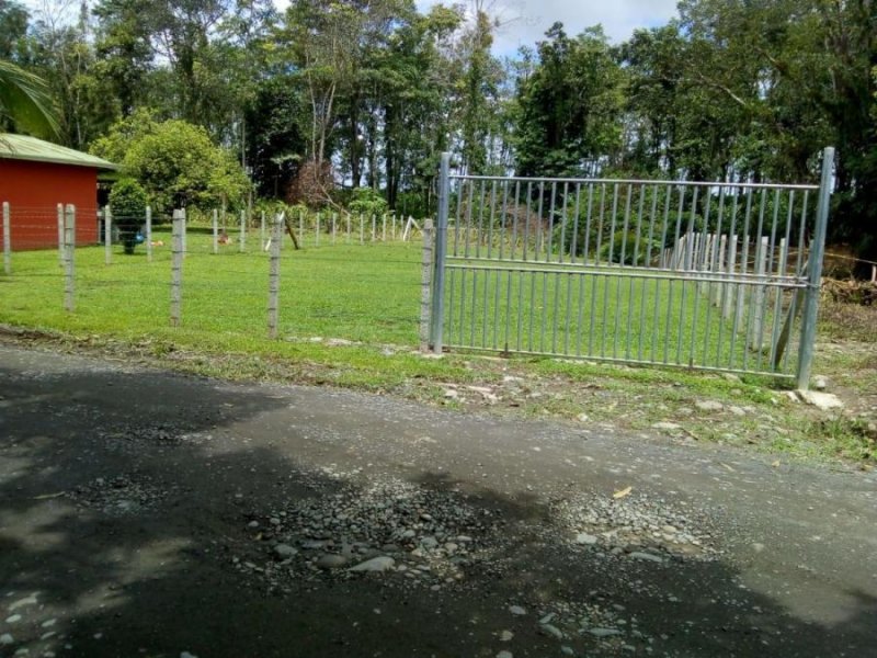 Foto Terreno en Venta en Guapiles, Pococí, Limón - ¢ 8.500.000 - TEV36279 - BienesOnLine