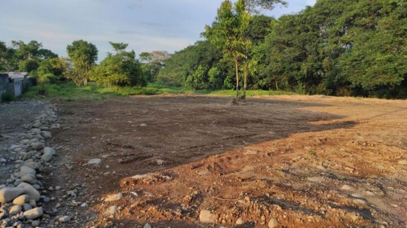 Foto Terreno en Venta en Guapiles, Pococí, Limón - ¢ 11.000.000 - TEV36281 - BienesOnLine