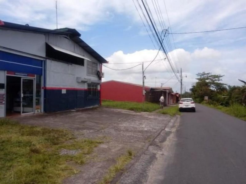 Foto Local en Venta en Guapiles, Pococí, Limón - ¢ 160.000.000 - LOV32542 - BienesOnLine