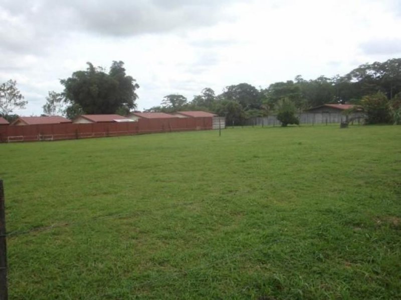 Foto Terreno en Venta en Guapiles, Pococí, Limón - ¢ 4.000.000 - TEV37383 - BienesOnLine