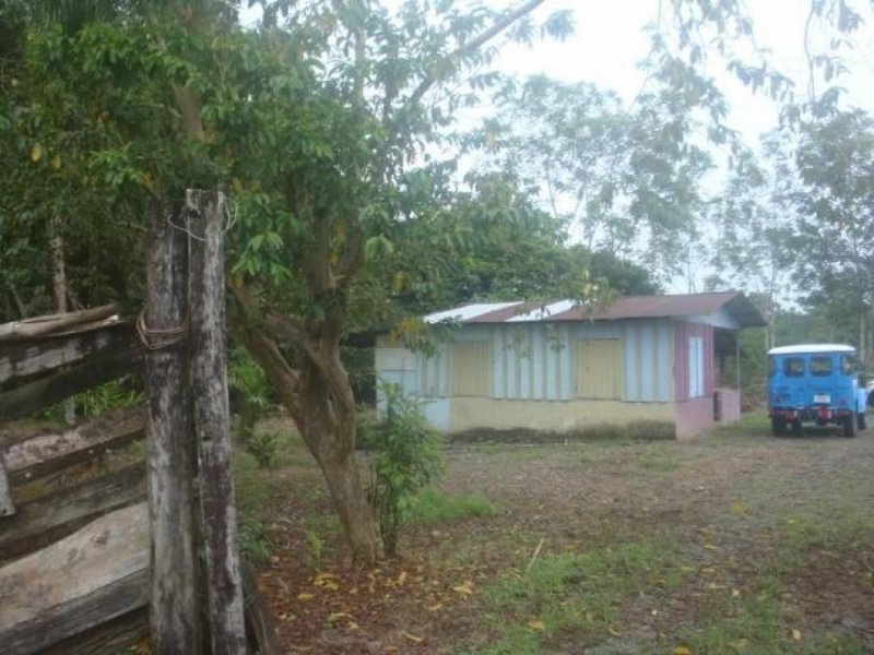 Foto Finca en Venta en Guapiles, Pococí, Limón - U$D 175.000 - FIV29585 - BienesOnLine