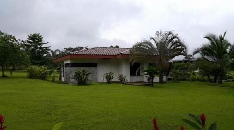 Foto Casa en Venta en Guapiles, Pococí, Limón - ¢ 185.000.000 - CAV30678 - BienesOnLine