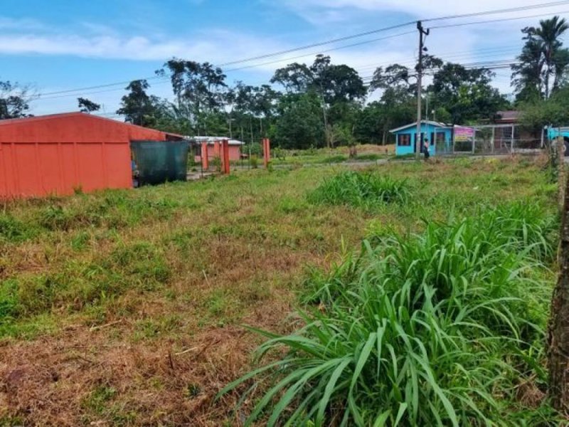 Foto Terreno en Venta en Guapiles, Pococí, Limón - U$D 37.300 - TEV38106 - BienesOnLine