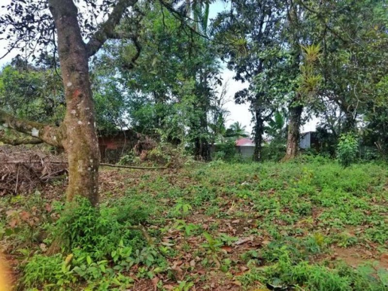 Foto Terreno en Venta en Guapiles, Pococí, Limón - U$D 24.900 - TEV38100 - BienesOnLine